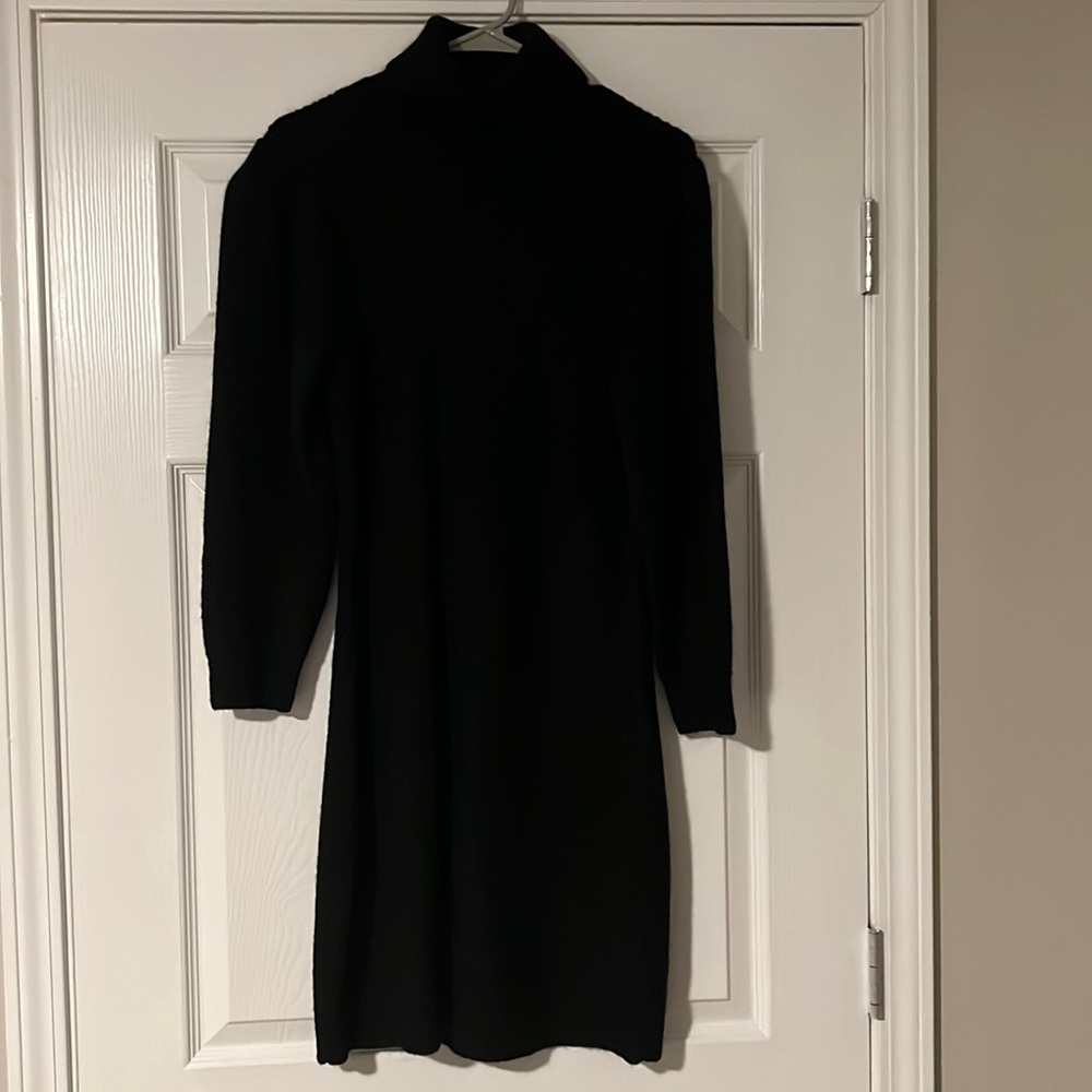 J Crew Turtleneck Sweater Dress